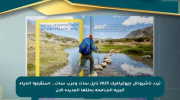 تردد ناشيونال جيوغرافيك 2025 نايل سات وعرب سات.. استقبلوا الحياة البرية الجـــامحة بحلتها الجديدة الآن